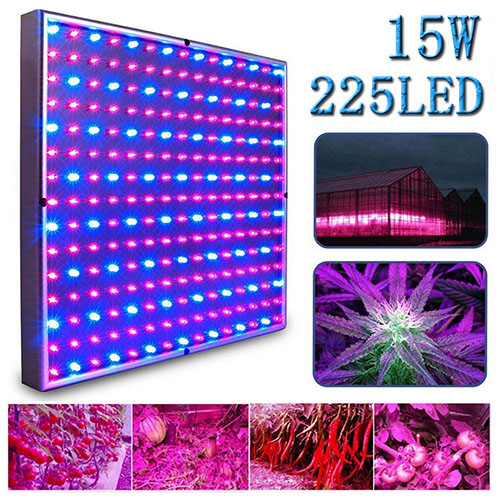 4. Kaleep LED Grow Light for Red Blue Indoor Garden Greenhouse and Hydroponic Full Spectrum Growing Lamps 15W Hanging Light