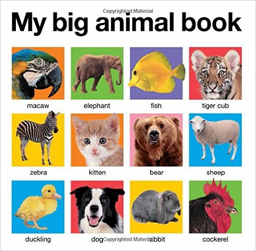 4. My Big Animal Book