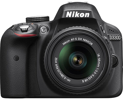 2. Nikon 24.2 MP CMOS Digital SLR 